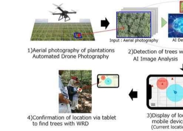 Bridgestone and ISID to Jointly Develop Para Rubber Tree Diagnosis Technology