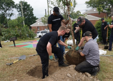 Bridgestone to plant 54,000 trees in USA as part of its new campaign