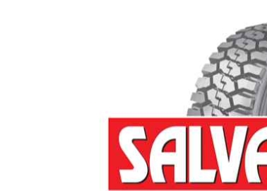 Michelin Selects Salvadori Srl Technology For Tyre Recycling Plant In Chile