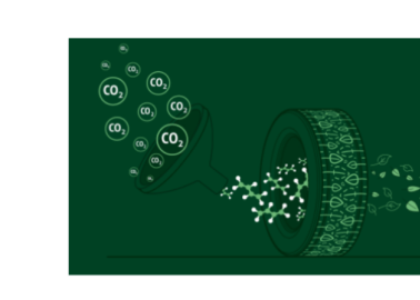 Trinseo and ETB to Collaborate on Development of Bio-Based 1,3 Butadiene