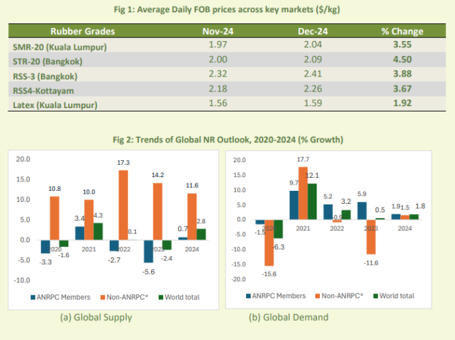 ANRPC Publishes Monthly NR Statistical Report For December 2024