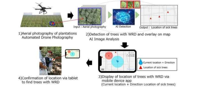 Bridgestone and ISID to Jointly Develop Para Rubber Tree Diagnosis Technology