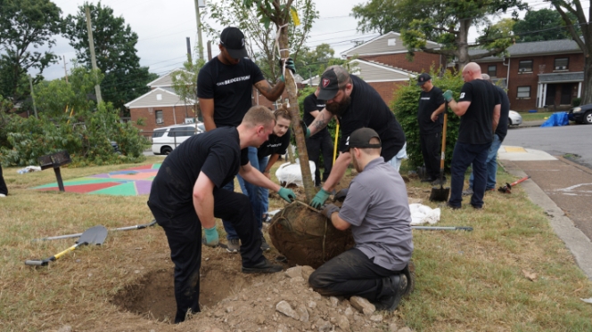 Bridgestone to plant 54,000 trees in USA as part of its new campaign