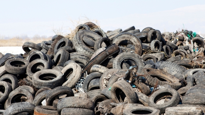 Used Tyres Pose Environmental Threat in India, Sparking Call for Stricter Import Rules